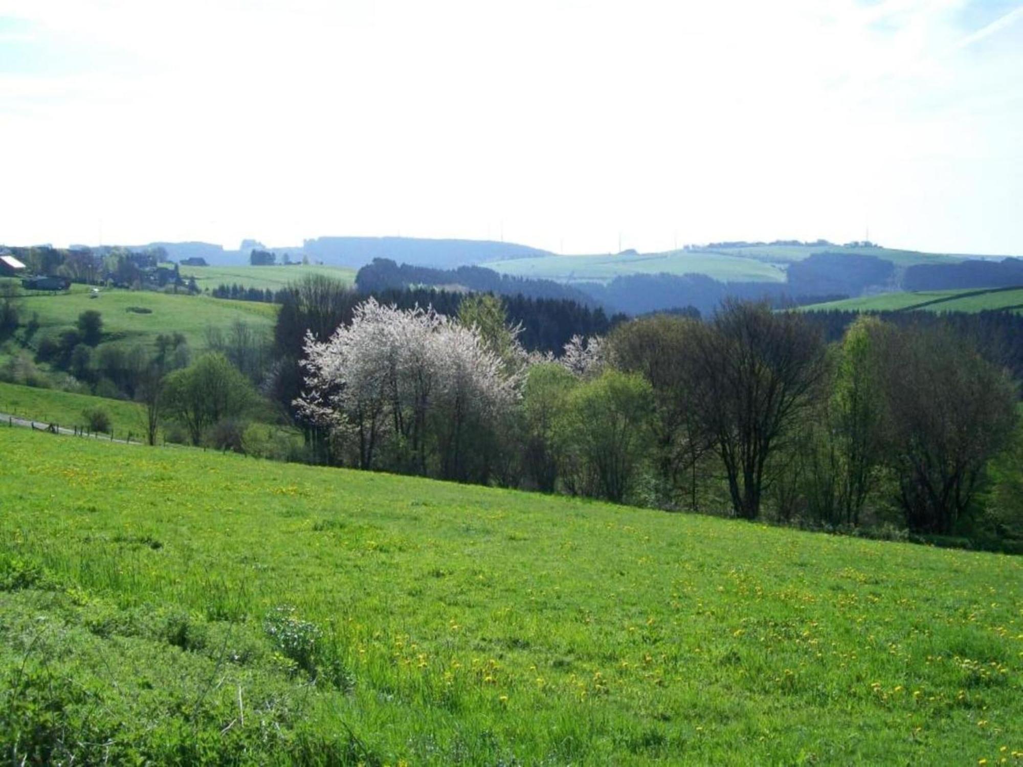 Holiday Home With Garden In Hellenthal Eifel Esterno foto