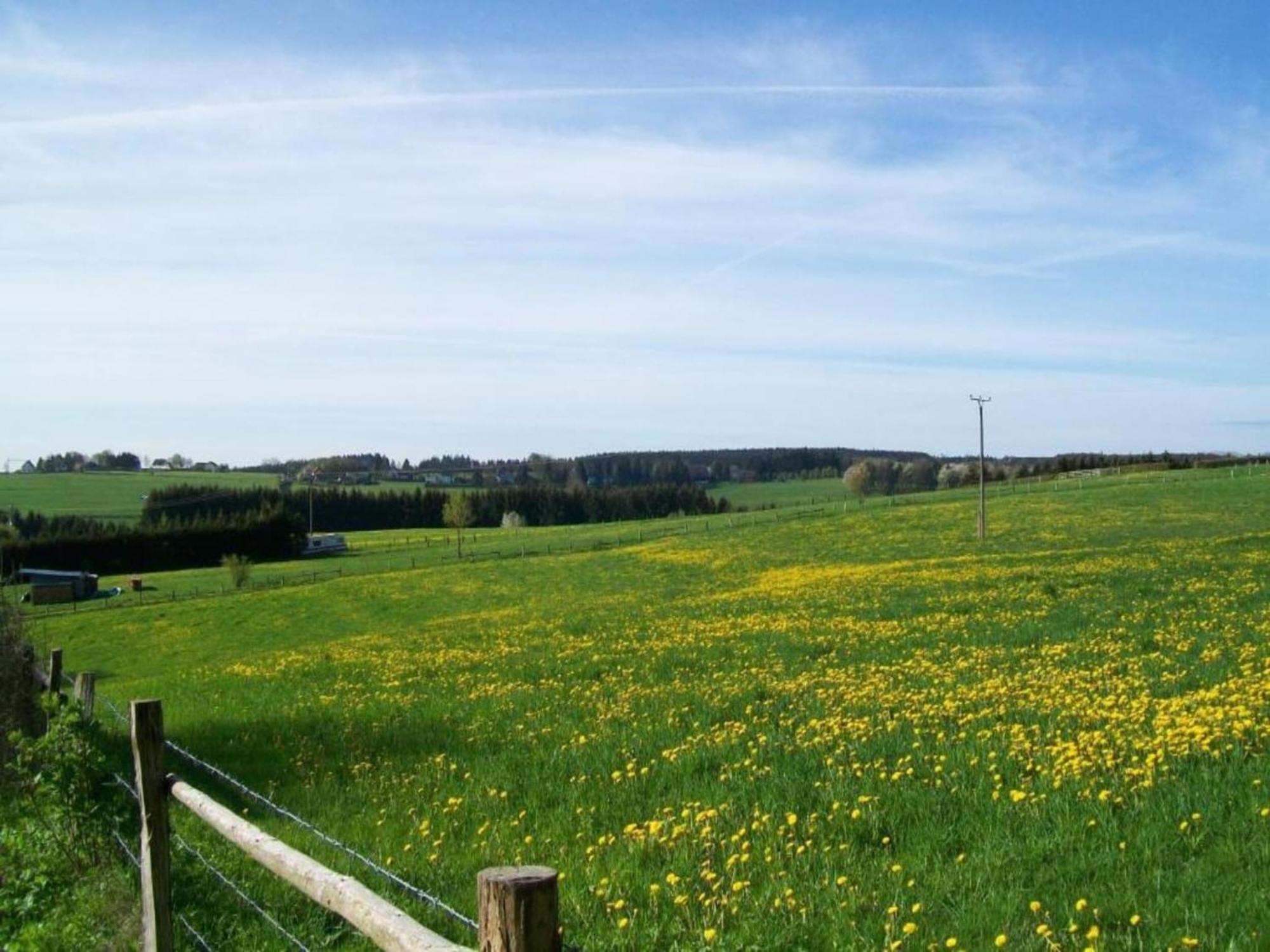 Holiday Home With Garden In Hellenthal Eifel Esterno foto